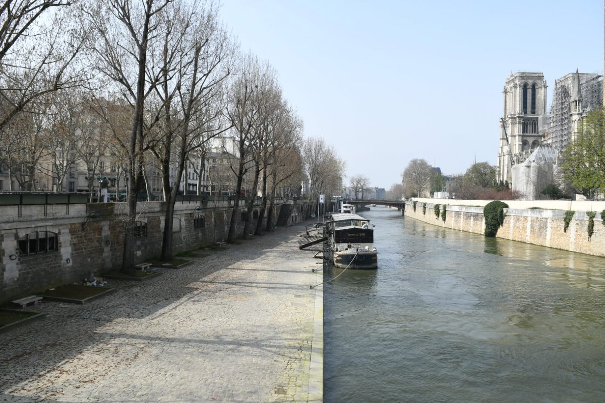 prefpolice's tweet photo. #COVID19 | Malgré ce soleil, aujourd'hui #JeResteChezMoi, #JeSauveDesVies.
Il est ⛔️ de se promener sur :
▶ Les voies sur berges (Rive G/D) de la Seine
▶ Les pelouses de l'esplanade des Invalides et du Champ-de-Mars
▶ La plupart des zones des Bois de Vincennes et de Boulogne https://t.co/GYNnnWlxuz