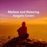 RENA77ch's tweet photo. Various Artists「Mellow and Relaxing Acoustic Covers」Alice lambのShape of my heart(14曲目)がヤバい‧˚₊*̥(* ⁰̷̴͈꒨⁰̷̴͈)‧˚₊*̥
#Alicelamb
#shapeofmyheart
https://t.co/N5VVvAeikq… https://t.co/N4m1Da48VE https://t.co/IG1E1jZ3U3