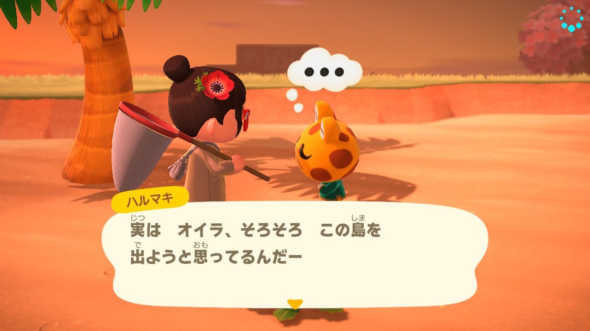 ムアラ カリン در توییتر 初期住民だったハルマキくんが出ていくことになりました どうぶつの森 Animalcrossing Acnh Nintendoswitch