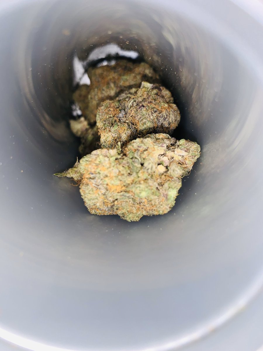SweetChibaa's tweet photo. Up before the sun ☀️ #WakeAndBake #WakeNBake #WeedWomen #SweetChibaaBaby https://t.co/hxs7ssWqzq