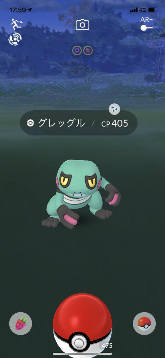 あぽろ 幽霊使われ 色違いのグレッグルまで引き当てた 今日運が向いてる分 明日事故ったりしないよう気を付けるかー