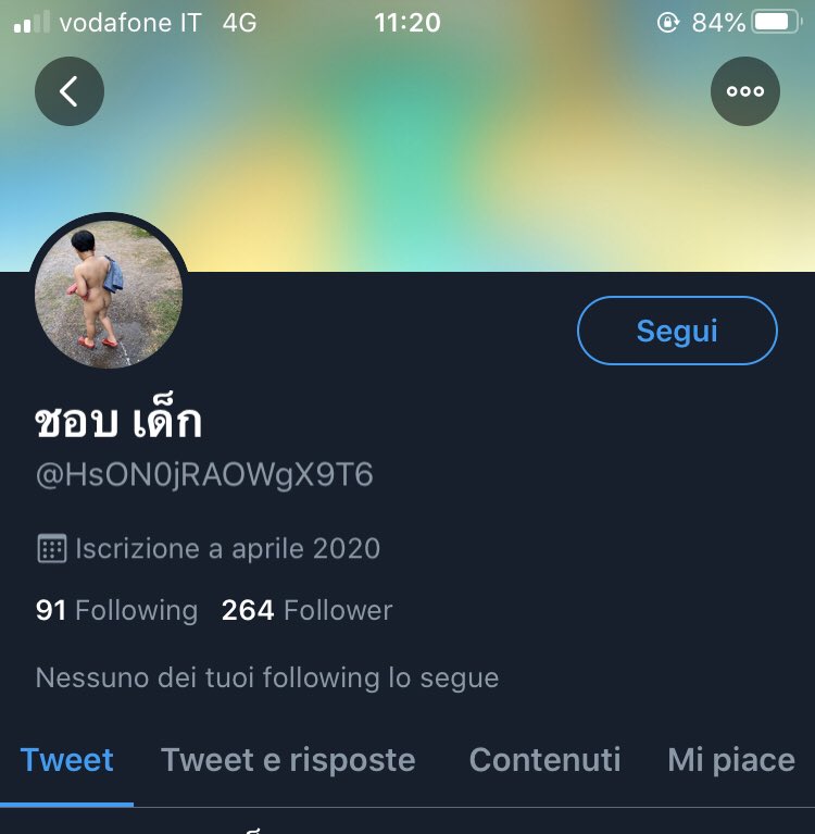 aleeooh's tweet photo. @andreabell96 @putyourhanzap @MyoWin96131804 Da quell’account, che ho segnalato, sono finita su questo e pubblica anche lui contenuti pedopornografici, io sono seriamente schifata. Segnalate per favore https://t.co/bLWH88qoNb