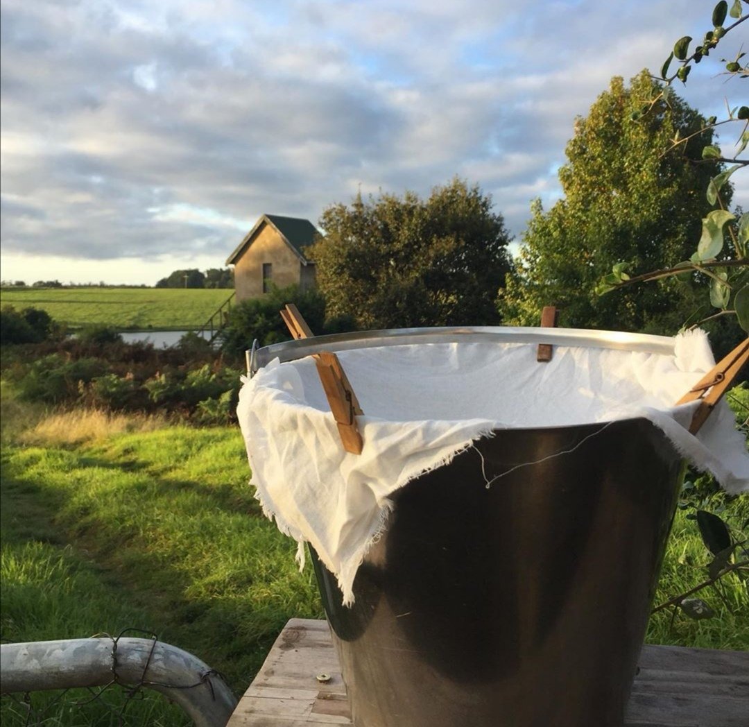 TsitsikammaT's tweet image. Morning routine at Fynboshoek Cheese Farm 😍
#beautifulexperiences #bucketliststuff #Tsitsikamma #GardenRoute #virtualtravelSA