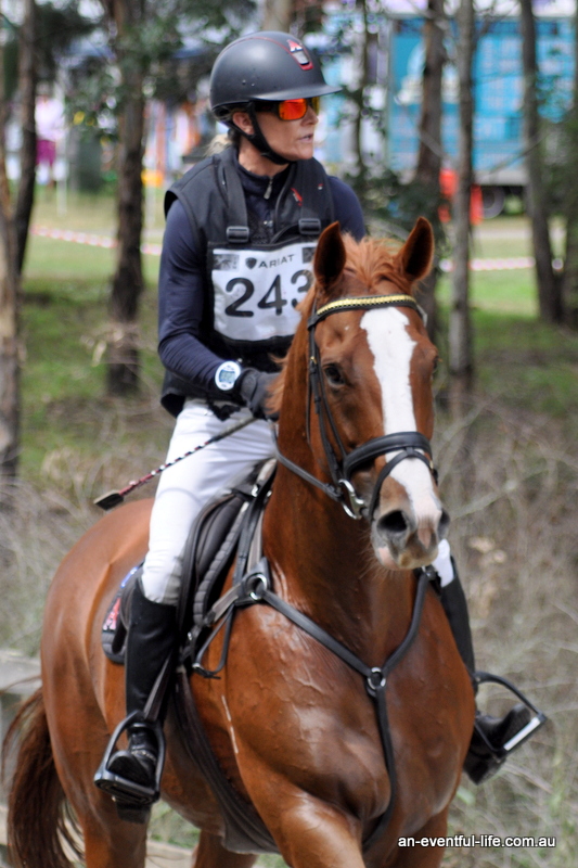 eventfulifebook's tweet photo. This time last year. Our latest photo gallery throws back to Sunday at @EquestriadAust https://t.co/YOXomnX5sG #eventing #stayinside #lookforwardtothegoodtimes #earsforward https://t.co/J3EiPOArxj