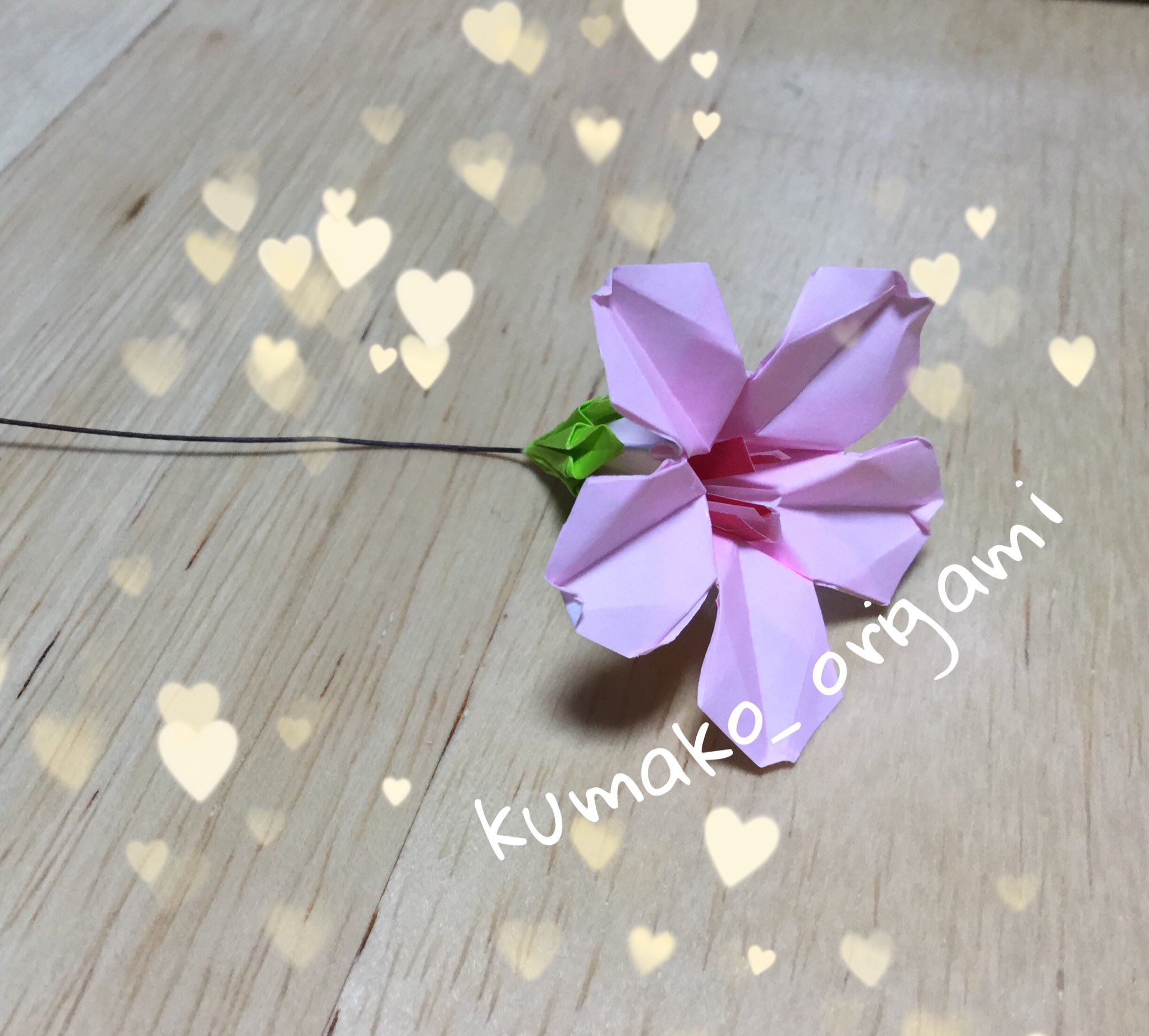 むらたひろこ くま子 折り紙出して切ってから始めると1輪分ぐらいだった 同じ折り紙なのに撮影boxと机の上じゃ色が全然違う 折り方も忘れないうちにwordで書いてるんだけど難しいわん 折り紙教室 折り紙桜 桜の花 Cherryblossom 折り紙