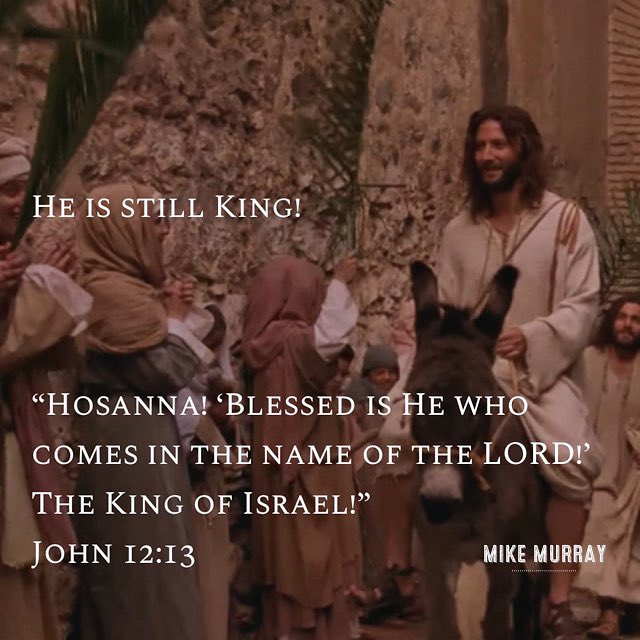 mikermurray's tweet photo. #King #PamSunday https://t.co/5yHRpZEfay