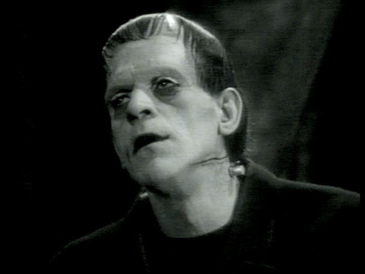 シネアート フランケンシュタインの怪物 ボリス・カーロフ ライフ