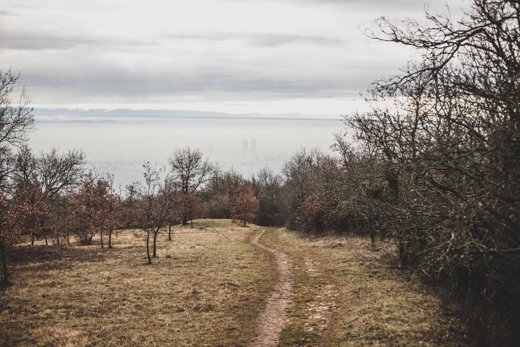 AthletesRC's tweet photo. Quand on a pris cette photo sur les hauteurs de Lyon le 31/01 dernier, on ne se doutait pas que 2 mois après tous nos chemins de trail adorés dans les Monts d'Or seraient déserts 🏃🏻Ils nous manquent et on pense déjà au plaisir d'y retourner ! 📷 @lapoulenoire #WeARC #trail https://t.co/R4xKhRTzQr