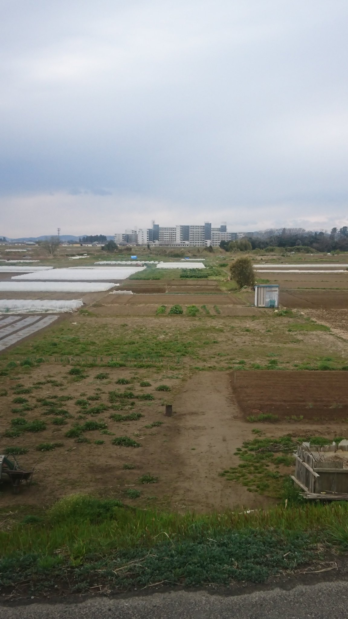 不識庵 裏 仙台市若林区今泉 今日は日曜日で仕事はお休み 早い時間に朝食を済ませ 8時からウォーキングに出かけました 今日は家から南に下って今泉方面へ 一枚目 今泉清掃工場 二枚目 清掃工場裏手の河川敷堤防から 対岸に移ってるのは太白区