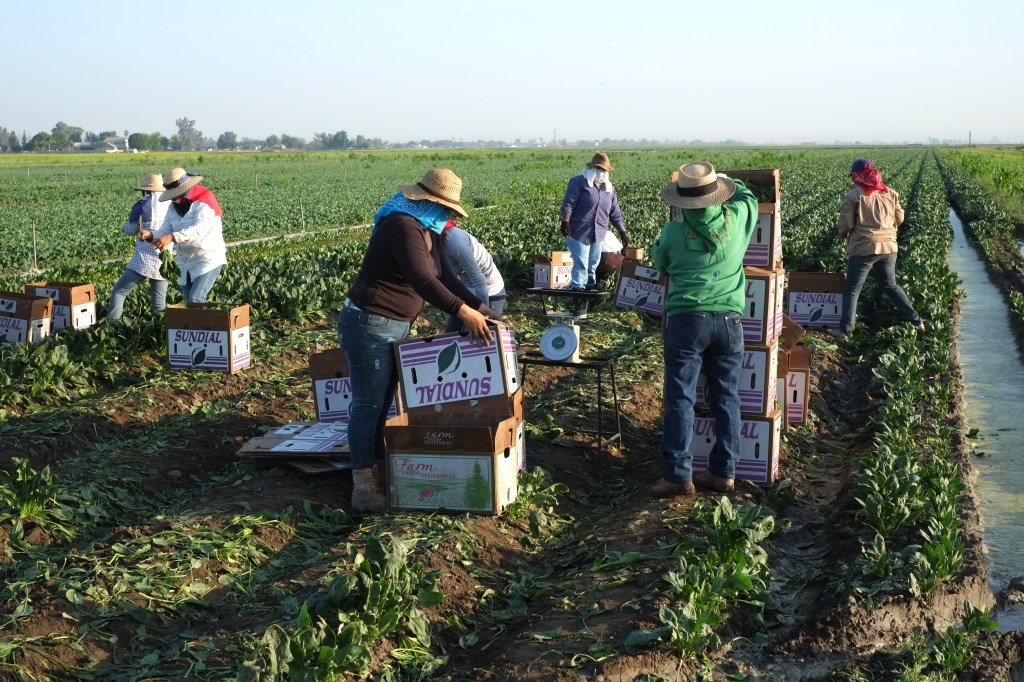 Coronavirus Safety Fact Sheets for Workers southeastagnet.com/2020/04/05/cor…