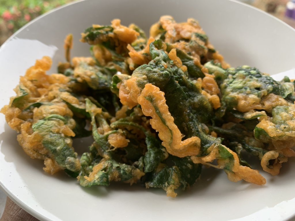 تويتر Bungolale على تويتر Bayam Brazil Selain Enak Dibuat Ulam Cicah Budu Boleh Tahan Juga Perginya Dibuat Goreng Celup Tepung Bestari Semuanya Kutip Di Kebun Kecil Emak Saya Https T Co Hhehynba1v