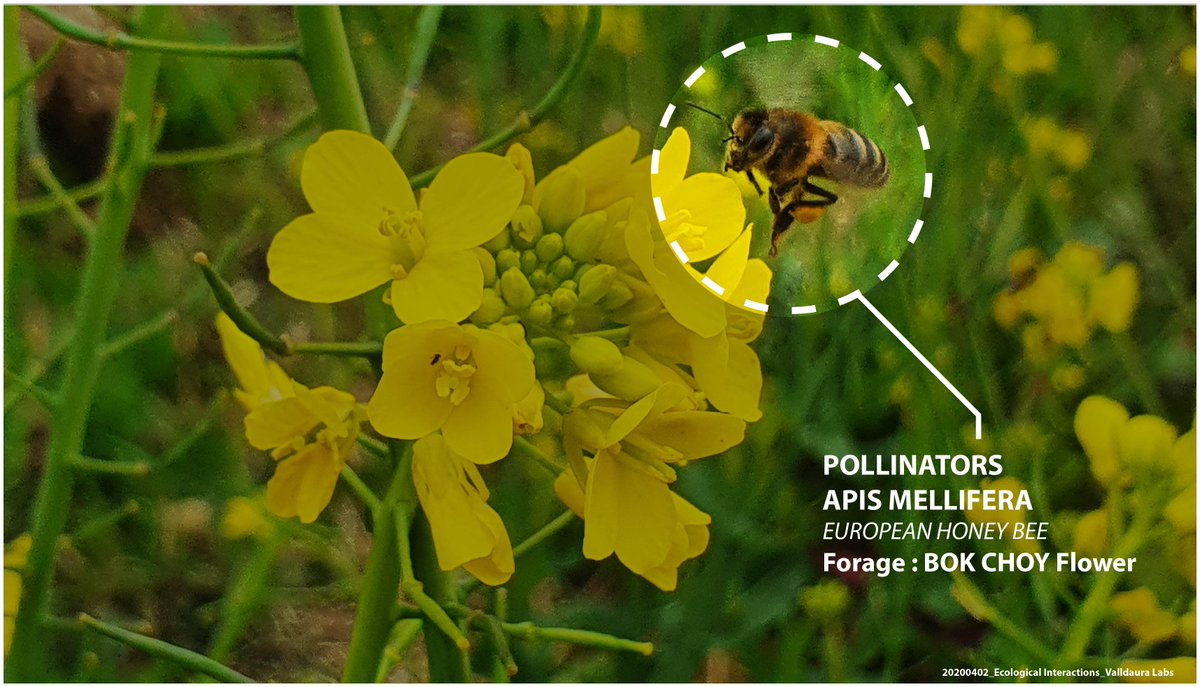 Ecological Interaction tweet media