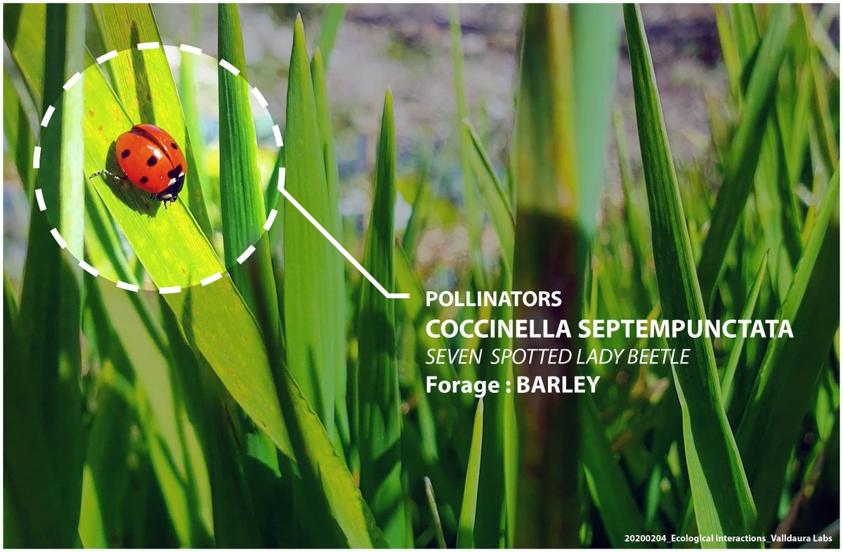 Ecological Interaction tweet media