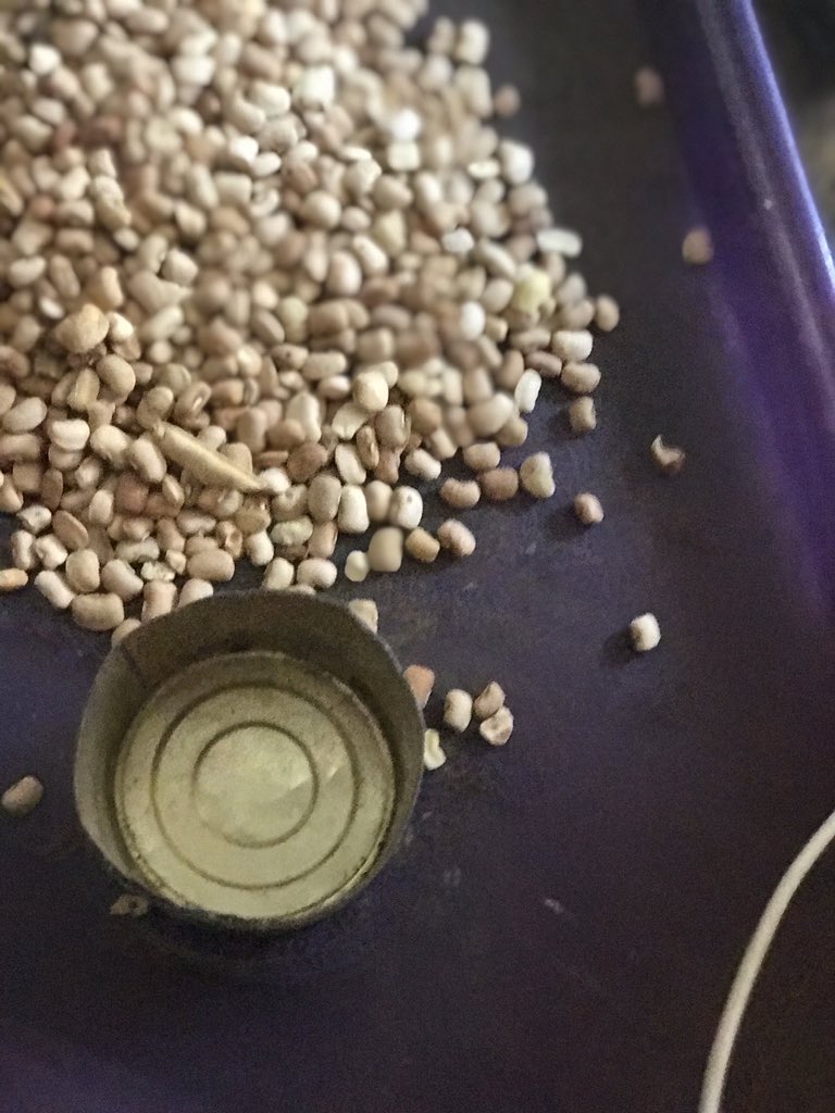 kim99187273's tweet photo. Lemme start counting...1 milk of beans https://t.co/z4TfI1lbHr