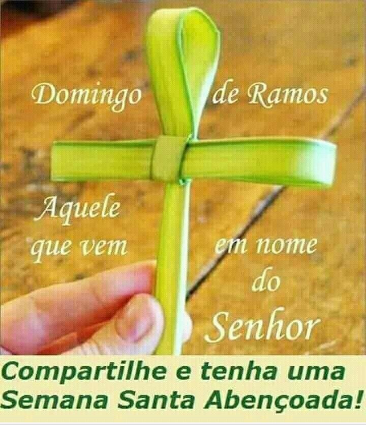 Reflexoes Para Todos Feliz Domingo De Ramos