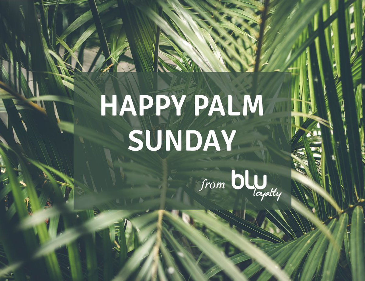 BLULoyalty's tweet photo. Happy Palm Sunday from the BLU Team! 🌿

#PalmSunday #BLULoyalty #BLUSolutions #Lebanon #UAE #Dubai #SaudiArabia #Bahrain #Jordan #MENARegion #LoyaltyPrograms #BLUPoints #BLUPointsNetwork https://t.co/FSmFEE7AT9