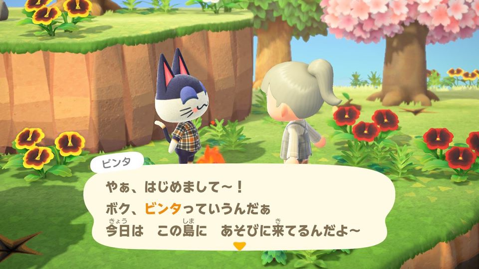 雁えりか 死神くんと病弱ちゃんの終活同棲31日生活 連載開始 苗字が強そう だのら語尾ほんと可愛いですよね