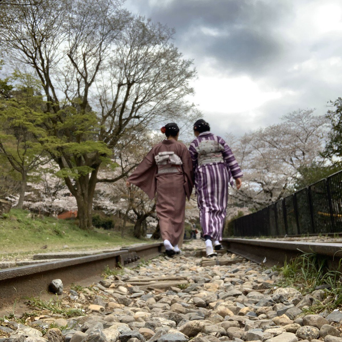 シックな新柄で桜満開の蹴上インクラインへ🌸
kimono-koto.com/okyakusama/238…

#京都 #四条烏丸 #着物 #着物レンタル #和服 #浴衣 #浴衣レンタル #京都着物レンタル #そうだ京都行こう #夜遅くまで #22時迄 #夜10時迄 #桜 #蹴上インクライン #天ten #kyoto #shijokarasuma #kimono #yukata #rental #koto