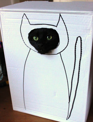 ThePhilosopurr's tweet photo. #CatBoxSunday #Cats #QuarantineCats #QuarantineLife

Looking for something to do? Cut a hole or four on the side of a box and draw a different character on each side.
#ResultsMayVary https://t.co/20LW0iYlpF