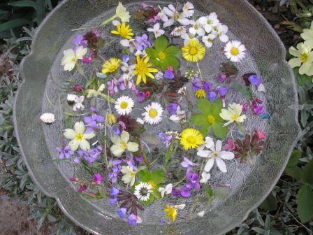 AncientHistria's tweet photo. Some parts of #Croatia have a custom of girls washing their faces with #flowers on the morning of #PalmSunday. This tradition is related to celebrating spring, youth and new life 🌸🌼🌷🌺☘ https://t.co/wzo2WXg8M4