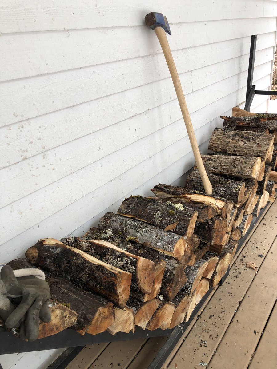 Shachbabe's tweet photo. Missing the gym? Discovered the perfect full body workout: splitting firewood. #soreallover #Haliburton https://t.co/4Q7Qtvl97D