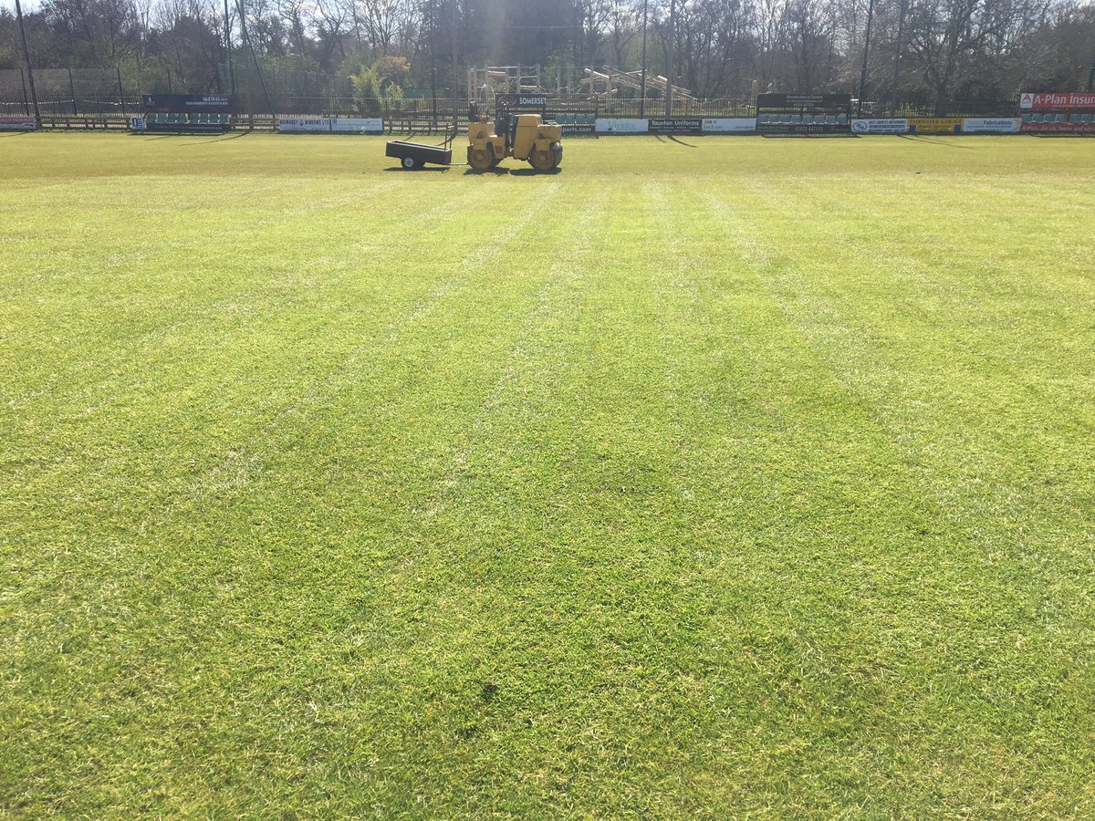 tauntondeanecc's tweet photo. The Deane yesterday. Never seen it so good even after the floods and wet winter. It’s time will come again but stay safe &amp; enjoy some exercise! #keepmaintained #keepthefaith https://t.co/paV7lrTT3O