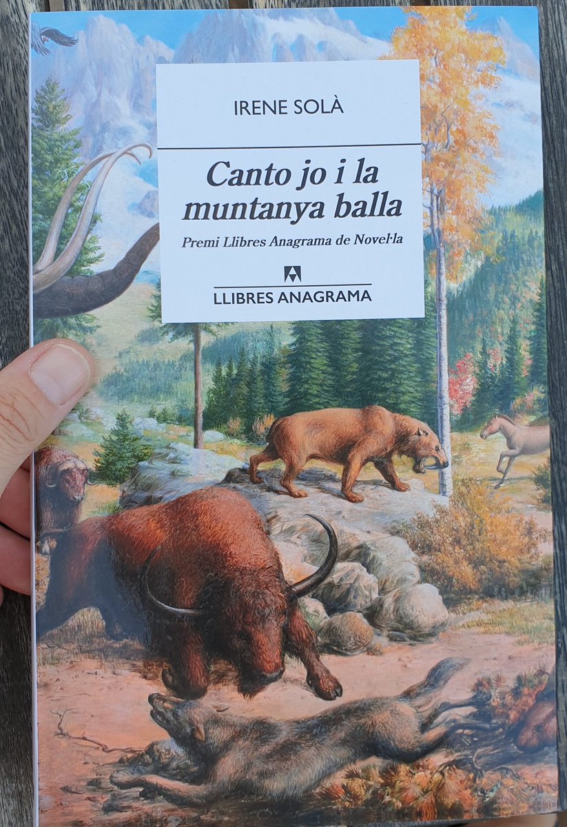 AlfdeVe's tweet photo. Nova lectura. 📖
#Jocantoilamuntanyaballa
#fatsbooks https://t.co/CZFt6bAqb5