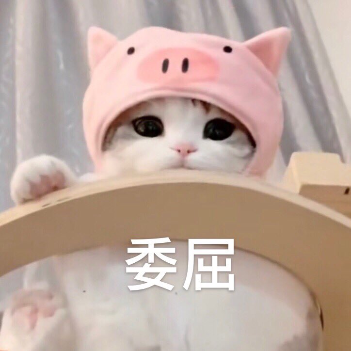zhusq93's tweet photo. @619327637 我哭完了才拍的 https://t.co/3tOT3LWlus