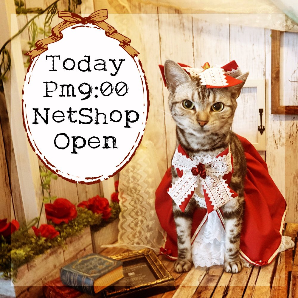 BiRinc106's tweet photo. 本日pm9時よりNetShop（https://t.co/NUcw1aoCRD）にて
#おうちでニャンフェス　開催します♡
#ニャンフェス10R　に持って行くはずだった作品から～
保護猫カフェに全額寄付のチャリティ作品まで♪
チャリティ作品をご購入の方には先着9名様までWガーゼの手作りマスクをプレゼント
詳しくはblogにて https://t.co/q8LvQwouti
