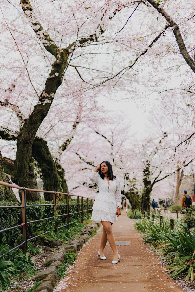 prernapriyam's tweet photo. New post up! How to be productive during #StayAtHome  #SocialDistancingNow  #COVID2019  #CoronavirusOutbreakindia #Japan #cherryblossom  https://t.co/xLHcqF0DbN https://t.co/GpuLEgmUjd
