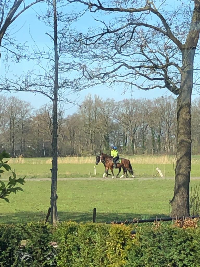 avanasselt1's tweet photo. ⁦@POL_Gelderland⁩ op de paarden geen 1,5 meter afstand houden? Zie dit de hele week al in Nunspeet. Of staan jullie boven de regels? https://t.co/zDMOSth3uA