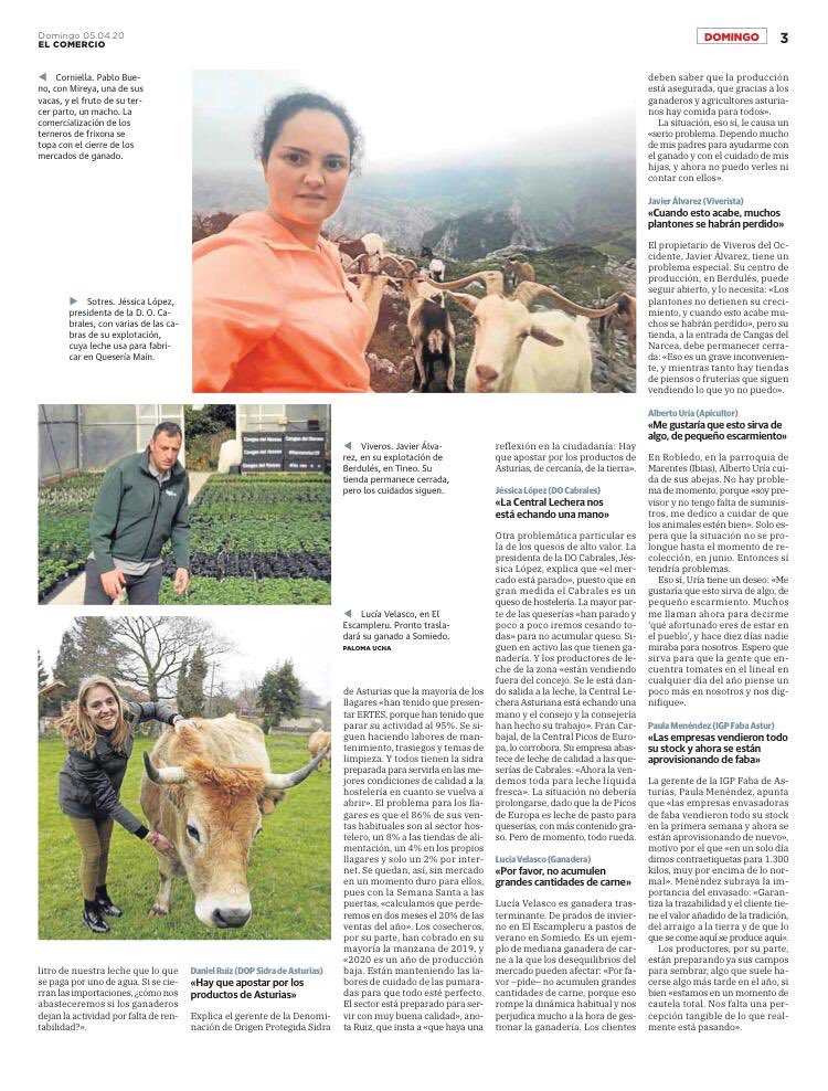 luciavelascoro2's tweet photo. Gracias al @elcomerciodigit por esta fantastica entrevista 💪🏻💪🏻 #singanaderosnohaycomida #COVID2019 #mujeresalpoder #mujeresencuarentena https://t.co/LlLe5DVz1i