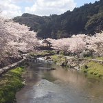 ツイートに含まれる画像