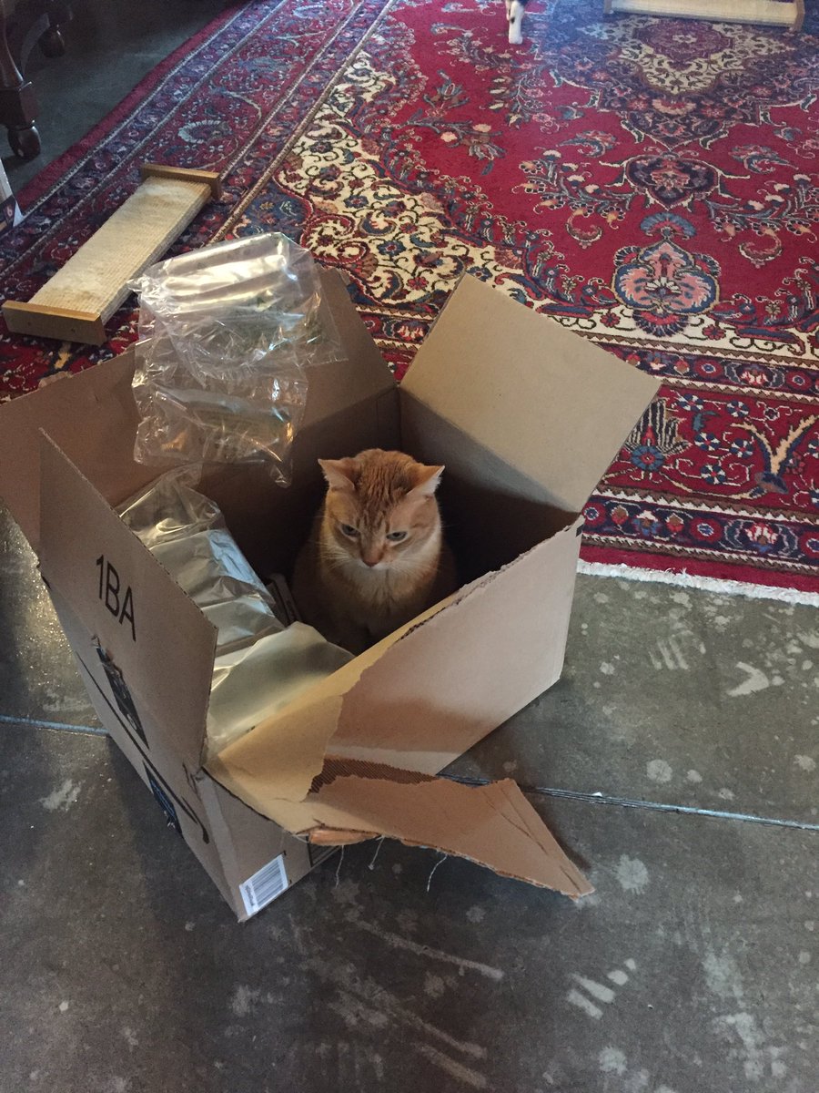 Kelly Dorsey (@dorseykelly) on Twitter photo 