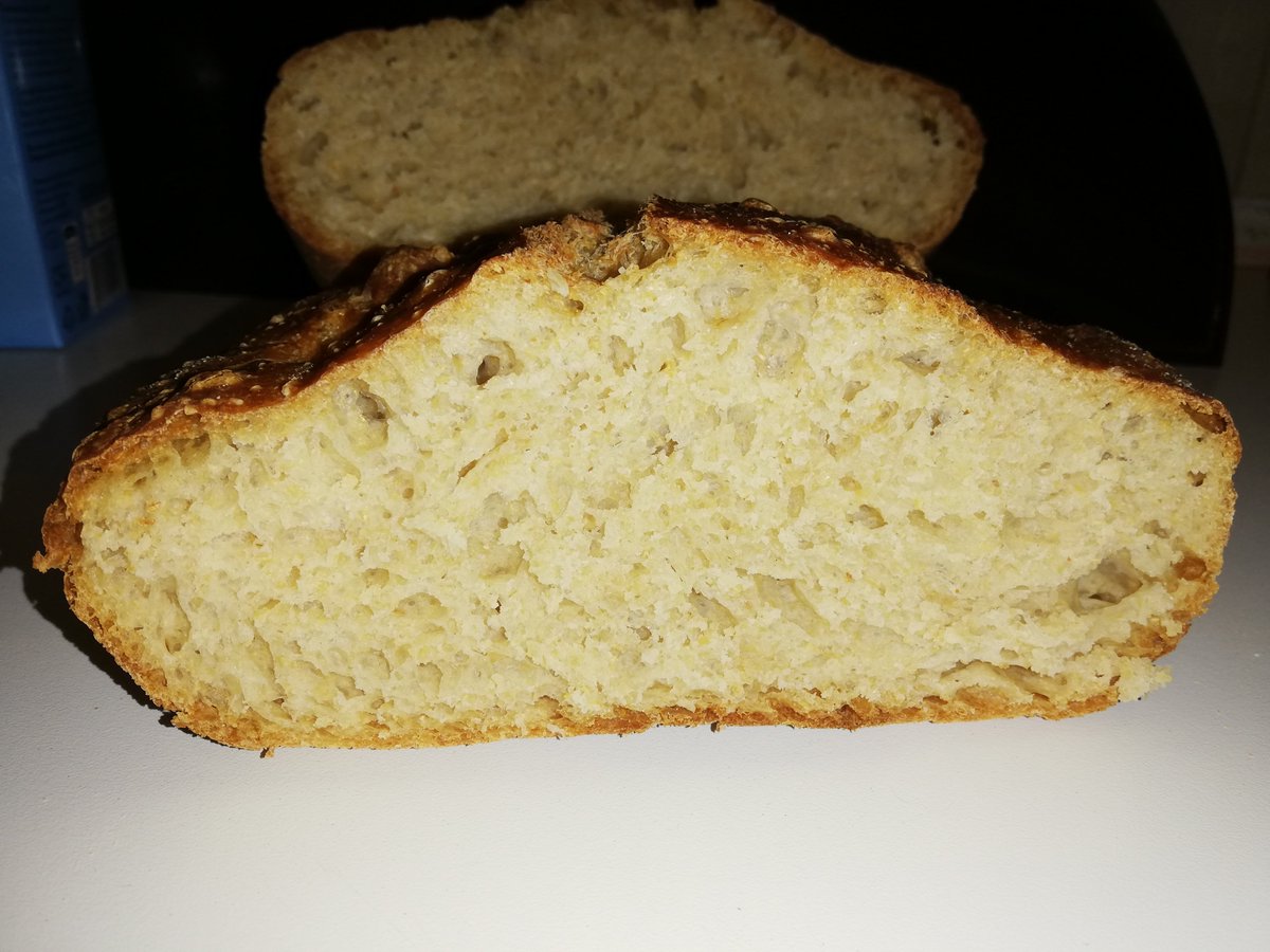 lorena_pisano's tweet photo. Buona Domenica con il mio pane #homemade ๐๐๐
#iorestoacasa #andrร tuttobene #insiemecelafaremo #panefattoincasa #pane #panehomemade #addiodieta #ciaociaodieta #foodporn #food #foodphotography #foodlover #foodie #foodaholic #foodart #foodpassion https://t.co/qZY9HpDiuC