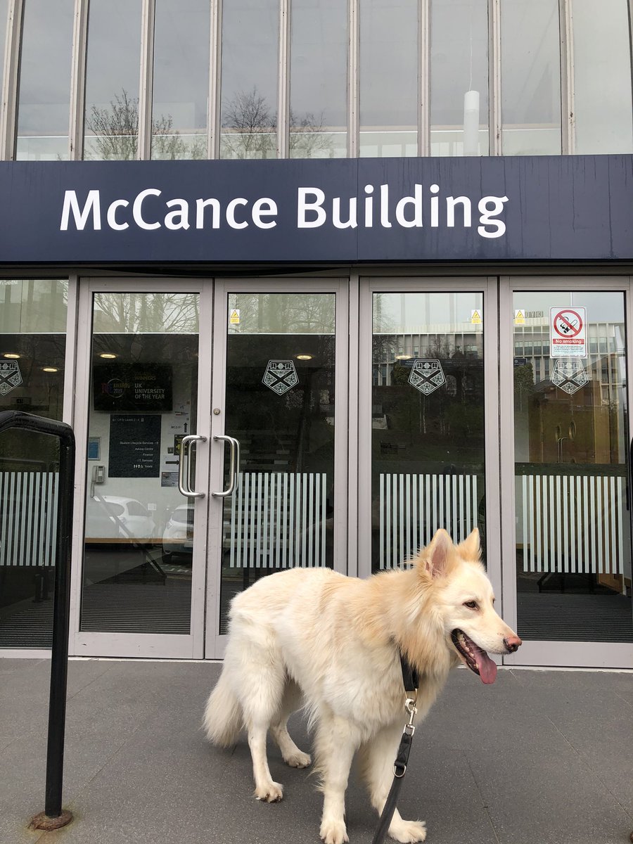  #alfieoncampus McCance