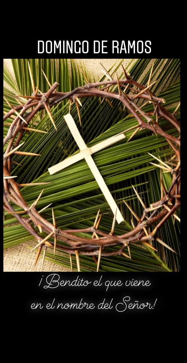 Matidnc's tweet image. Feliz Domingo de Ramos 🌿