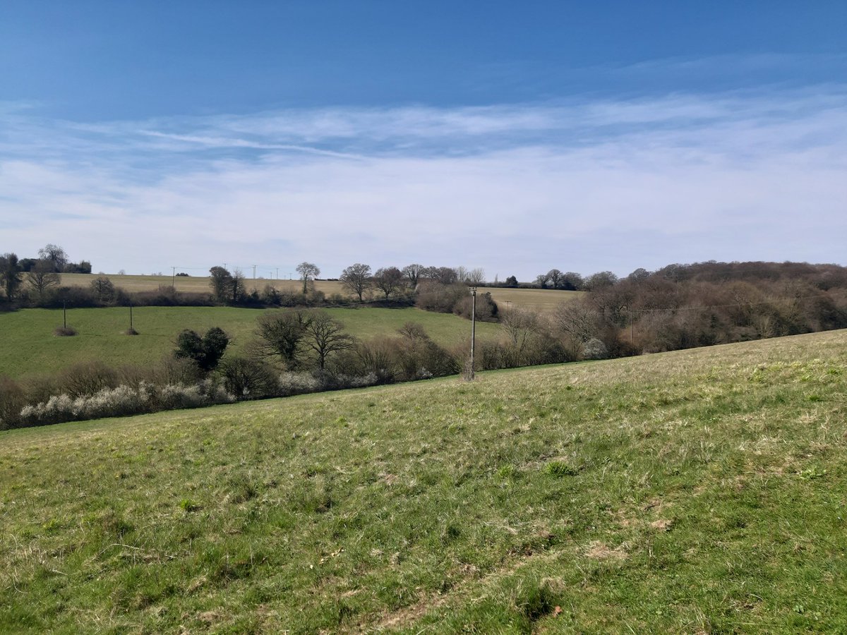 Short_James (TV & Film Connoisseur) tweet media