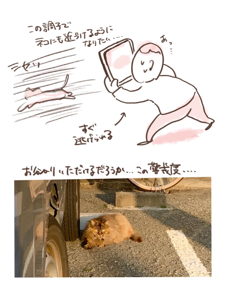 「桜を激写する話」

桜がある所には人も集うので
いかに人をフレームインさせないかという闘いも同時に勃発します

猫に近づきたい......

#桜
#マンガ 