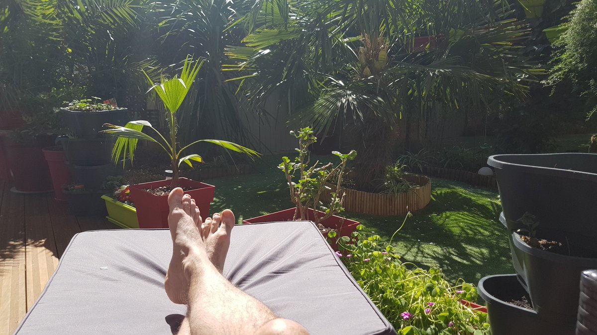 mickey43200's tweet photo. Bronzette dans le jardin après repas sur la terrasse https://t.co/Mo9O8ZU1hz