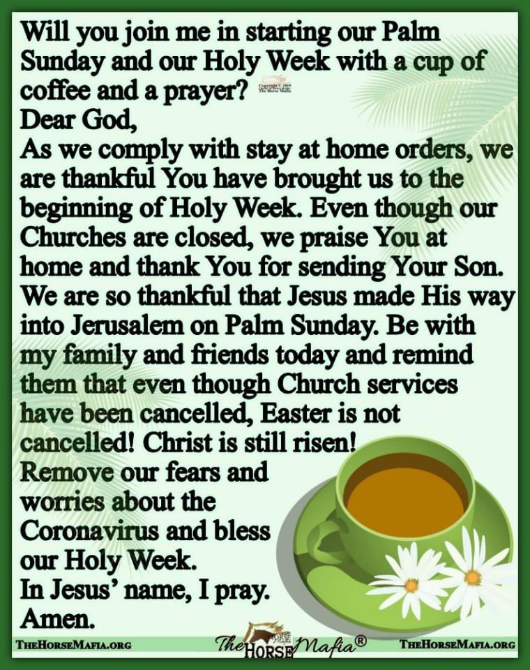 GITMO KAG2020 🇺🇸 tweet media