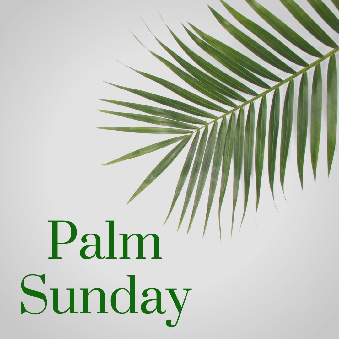 The King came. The King will come again.

#PalmSunday #Lent