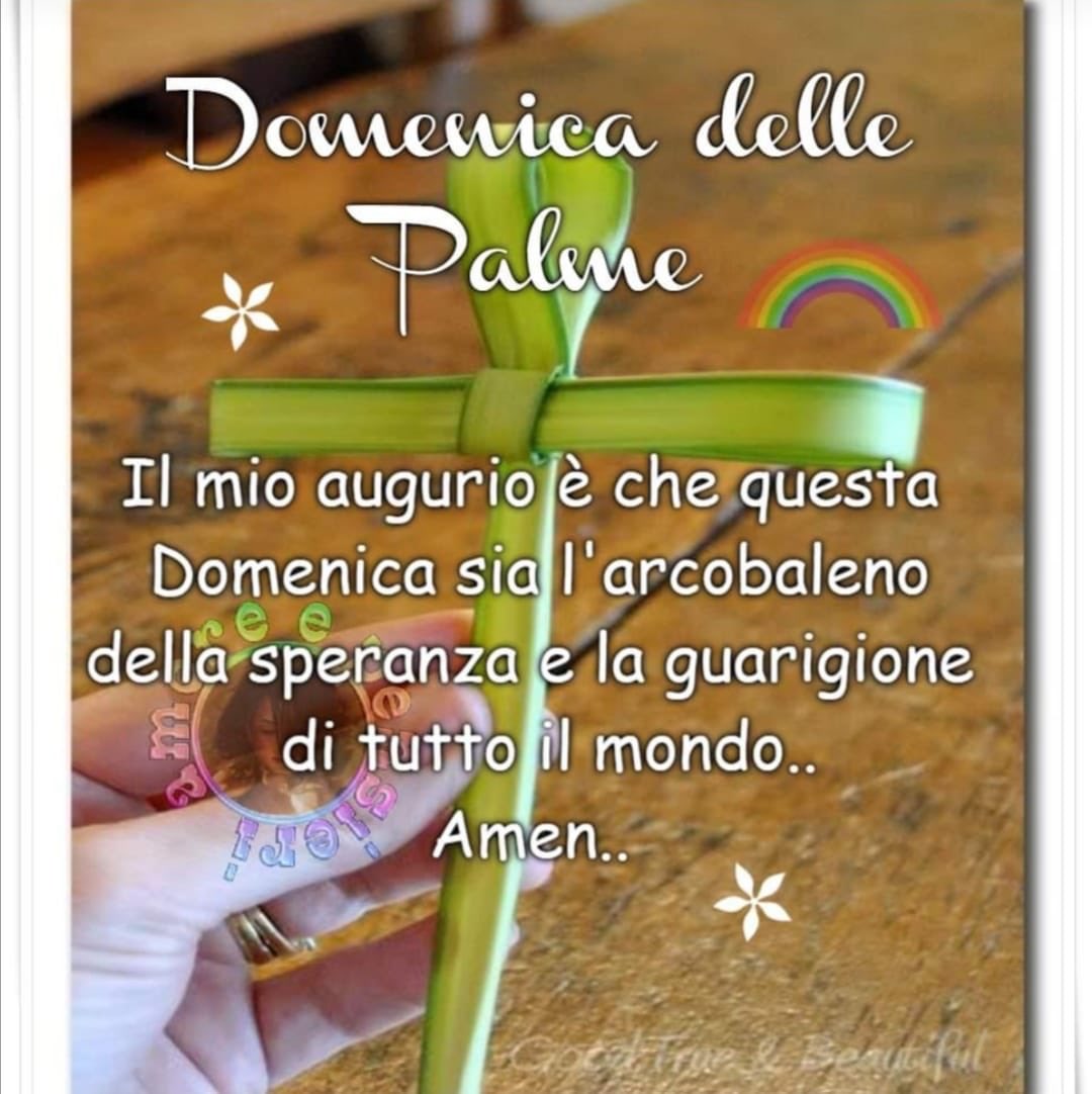 paolaronca72's tweet photo. @nicotera70 Buongiorno caro Giu’ buona domenica delle palme 🌿🕊🌿 Serenità e pace nel cuore per tutti 🕊🕊🕊 un abbraccio 🌹 https://t.co/wtgKfLXRom