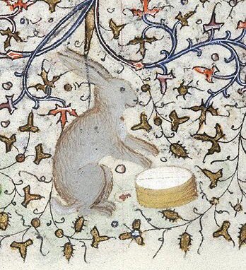 The Rabbit drummer[Morgan, MS M1004]