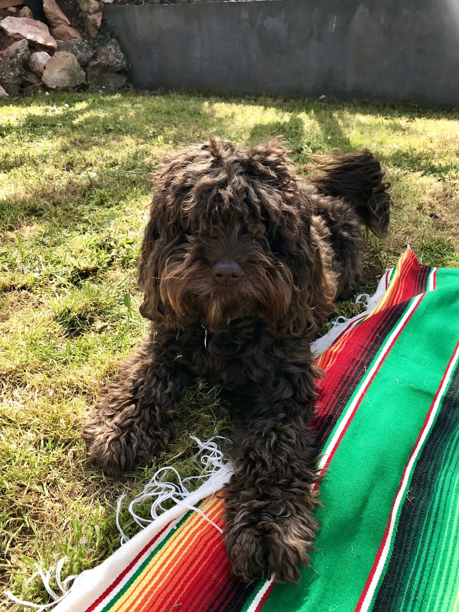 Enjoying some time safe in the garden today #StayAtHome