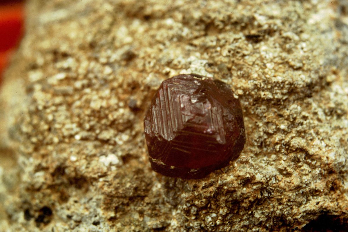 ...responsible for the occurrence of abundant, euhedral garnets in the lavas. They are chemically and microstructurally the same as those in the enclaves, and are full of melt inclusions. Why melt inclusions in a metamorphic garnet? Wait tomorrow. But as mentioned by  @BobGooday