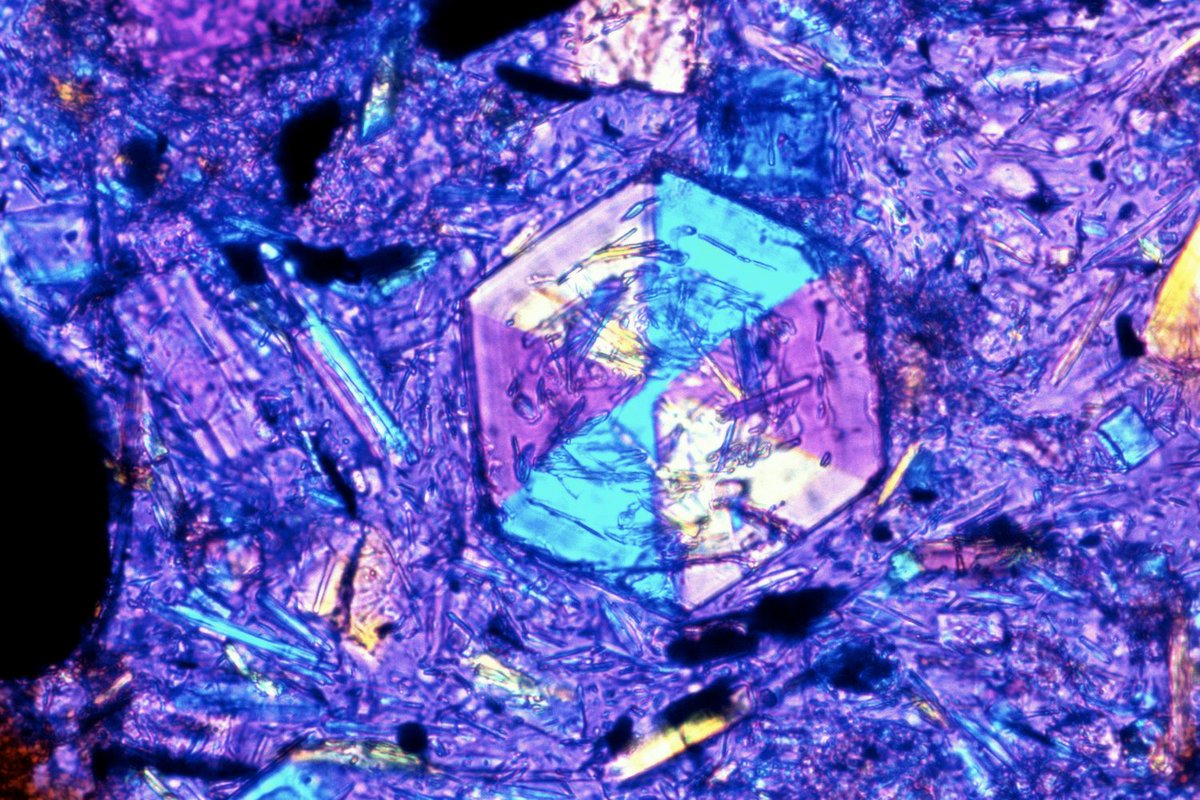 ...  @tomargles the lava is known for its beautiful, fresh cordierite. There is a metamorphic, residual Crd (originates like Grt above) but also this lovely sector-trilled (Zeck, 1972) igneous one. The two cordierites differ in XMg. Tomorrow we'll look at the gorgeous enclaves.