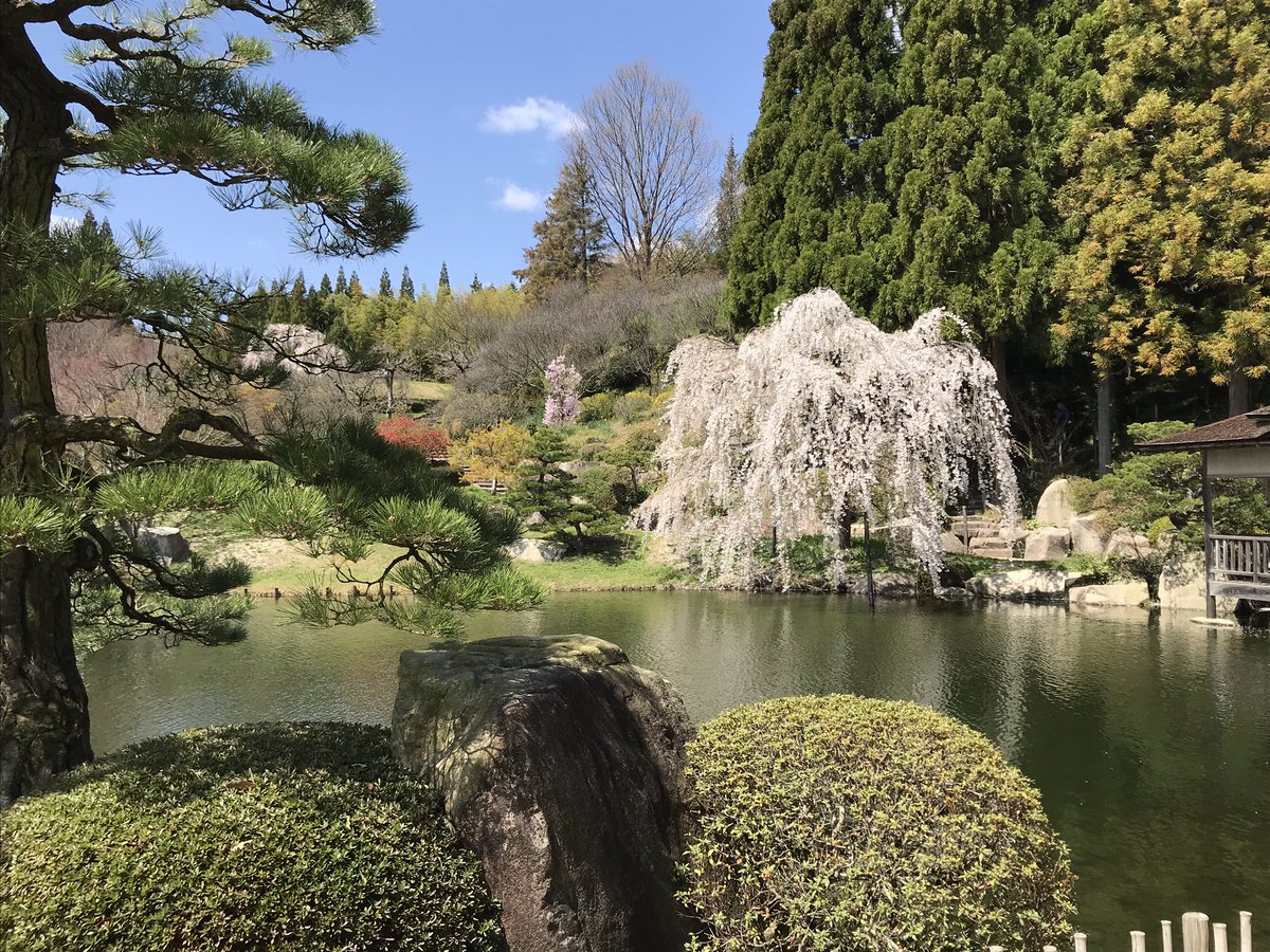 syukaku's tweet photo. 『三景園春まつり(～4/5)』
～宇宙流俳句会俳句短��展示～
無事終了しました。
ご覧下さった皆様有難うございます。
本日はしだれ桜も見頃。
錦鯉も冬眠終えて元気いっぱい。
見事な景色でした。 https://t.co/yjd834KGJc