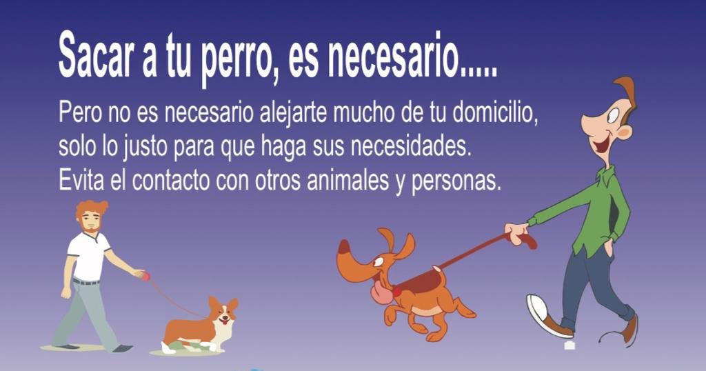 Si vas a sacar al 🐕🐩 para dar un paseo, recuerda:

➡️ Salida para cubrir necesidades fisiológicas. Cerca de casa. 
➡️ Sin contacto con otros animales o personas. 
➡️ Diluye los orines con agua  y lleva bolsa para heces. 
➡️ Horario de menor afluencia