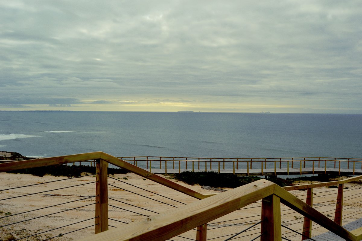 GoCaldas tweet media